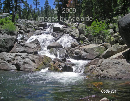 Lily Creek